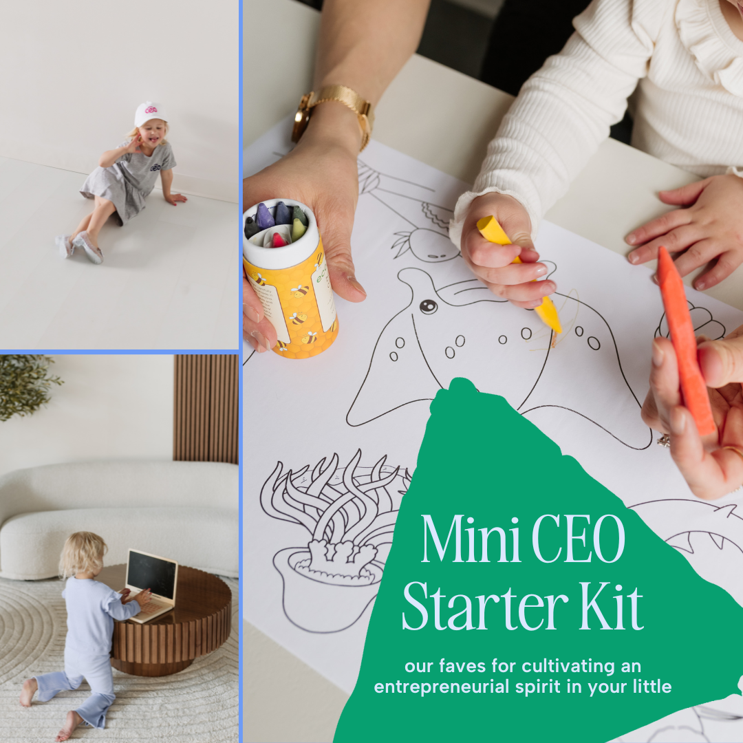 mini ceo starter kit