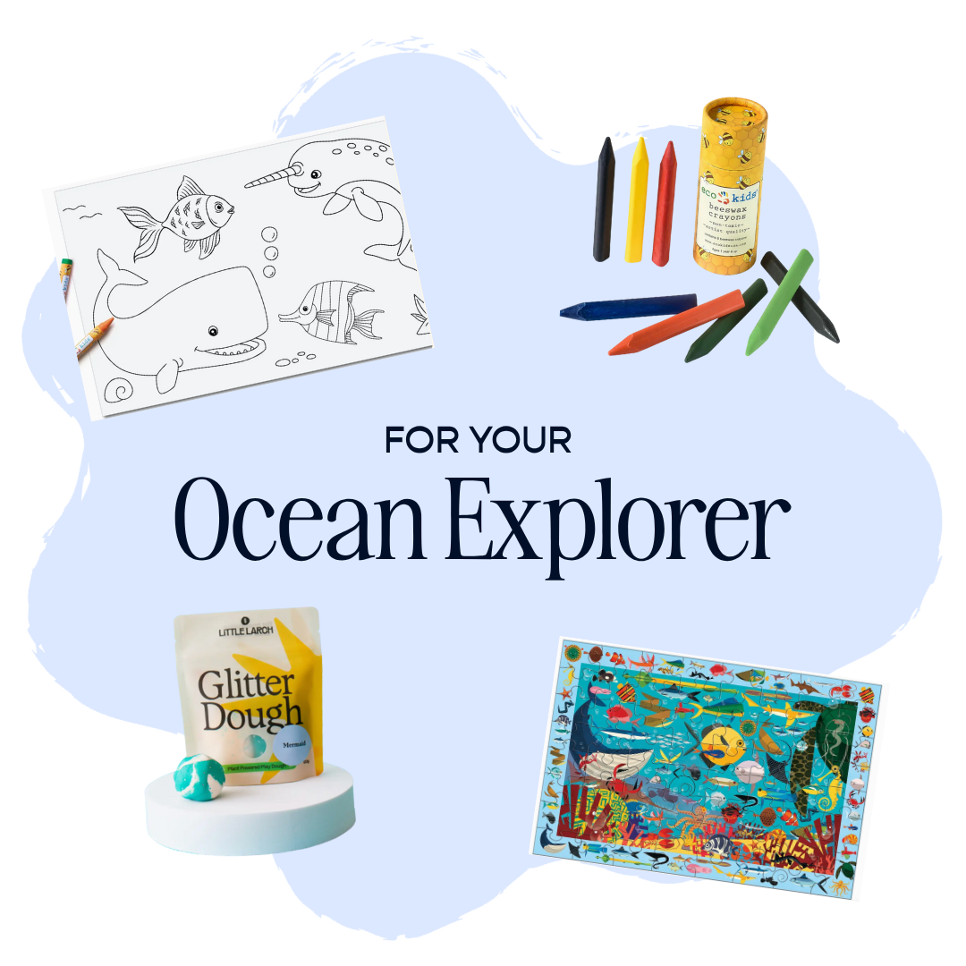 Ocean Adventure Box