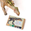 Dinosaur Bone Beeswax Crayons