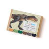 Dinosaur Adventure Box