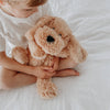 Charlie The Weighted Puppy Dog Toy