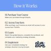 Solopreneur Guide to Marketing Strategy - On Demand Course